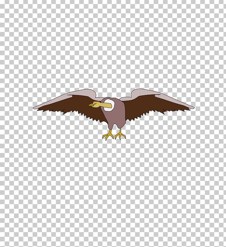 Bald Eagle Graphics Computer Icons Drawing PNG, Clipart, Accipitriformes, Bald Eagle, Beak, Bird, Bird Of Prey Free PNG Download