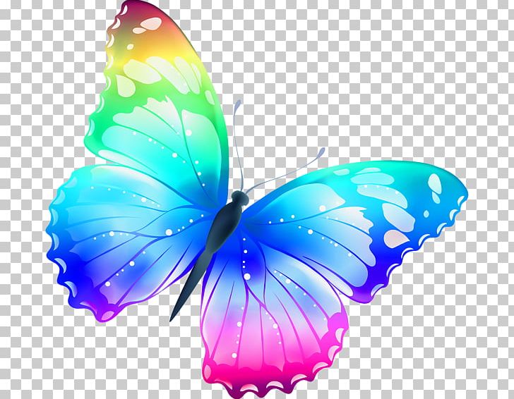 Butterfly PNG, Clipart, Androidography, Arthropod, Beautiful, Bugs, Butterflies And Moths Free PNG Download