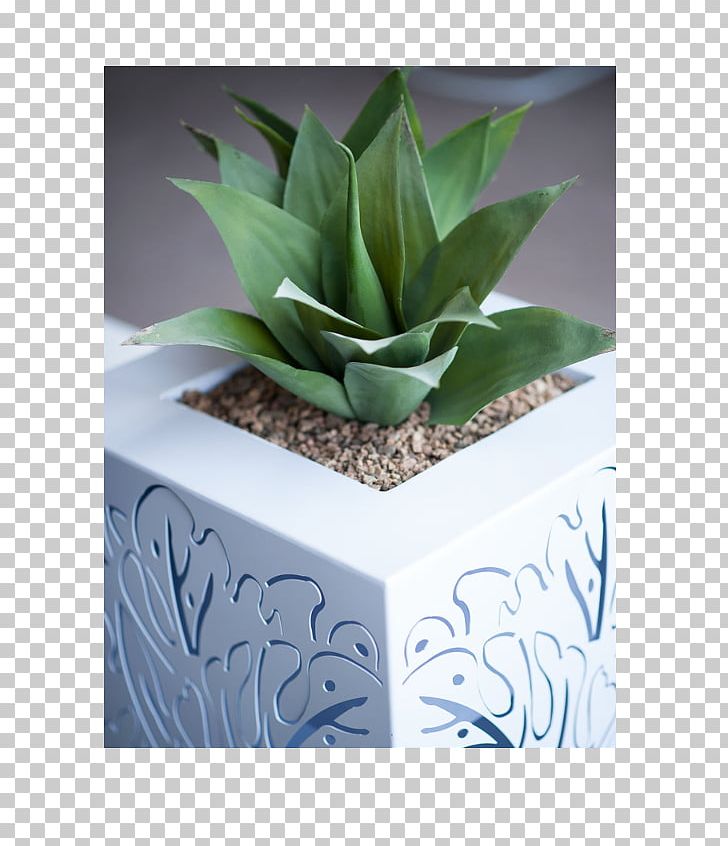 Flowerpot Plant Steel Office Interior Design Services PNG, Clipart, Abstract, Agave, Agave Azul, Aloe, Box Free PNG Download