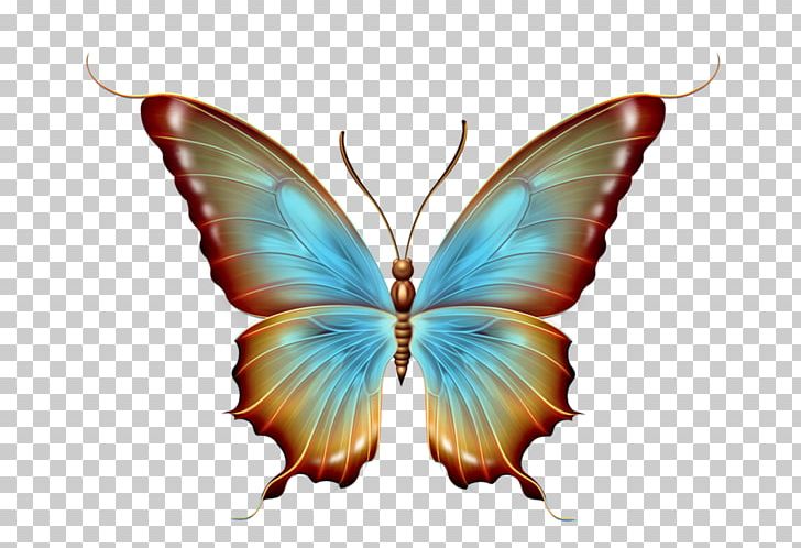 Butterfly Graphic Design PNG, Clipart, Arthropod, Brush Footed Butterfly, Butterfly, Color Television, Designer Free PNG Download