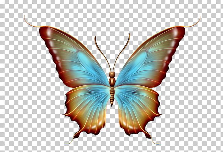 Butterfly Graphic Design PNG, Clipart, Arthropod, Brush Footed ...