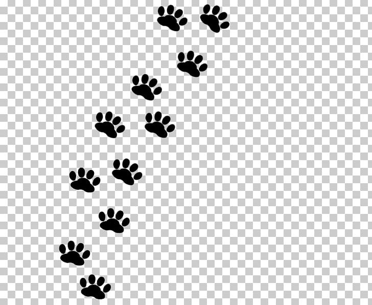 Footprint Paw Siamese Cat Scottish Fold Cymric Cat PNG, Clipart, Black, Black Cat, Body Jewelry, Cat, Cat Food Free PNG Download