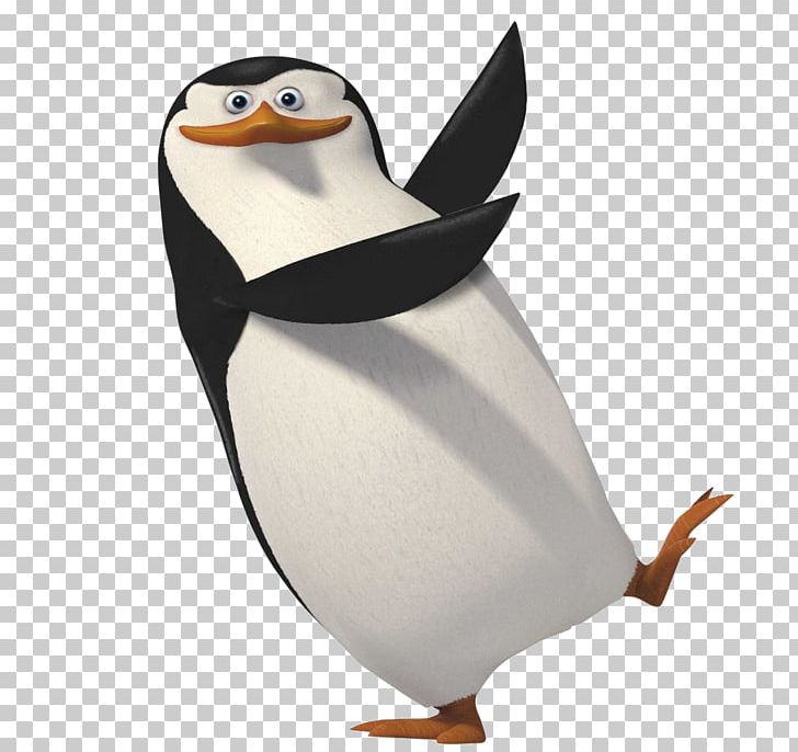 Penguin Charming Villain Melman PNG, Clipart, Animals, Animation, Beak, Bird, Charming Villain Free PNG Download