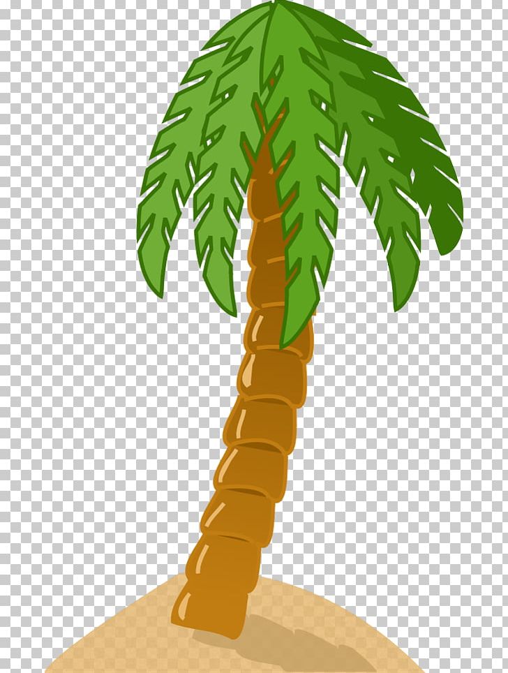 Arecaceae Drawing PNG, Clipart, Arecaceae, Arecales, Coconut, Download, Drawing Free PNG Download