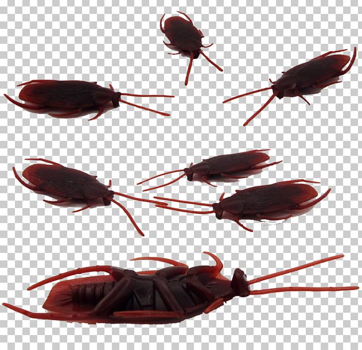 Cockroach April Fools Day Hoax Toy PNG, Clipart, Animals, April, April Fools Day, Bed Bug, Cartoon Free PNG Download
