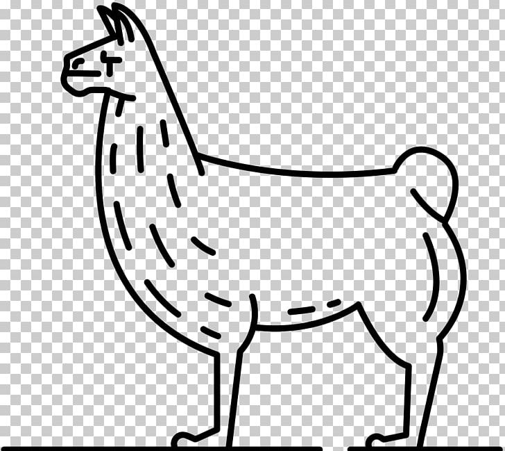 Llama Coloring Book Animal Drawing Camelids PNG, Clipart, Animal, Bird, Carnivoran, Cartoon, Chicken Free PNG Download