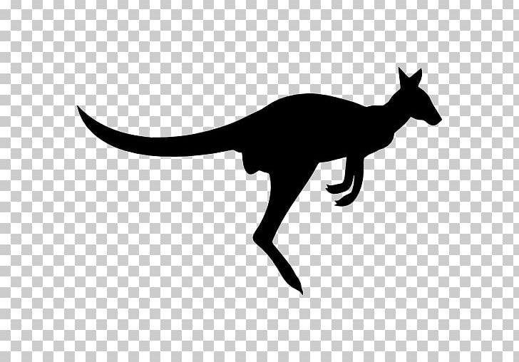 Wallaby Mammal Macropodidae PNG, Clipart, Animal, Art, Black And White, Computer Icons, Dinosaur Free PNG Download