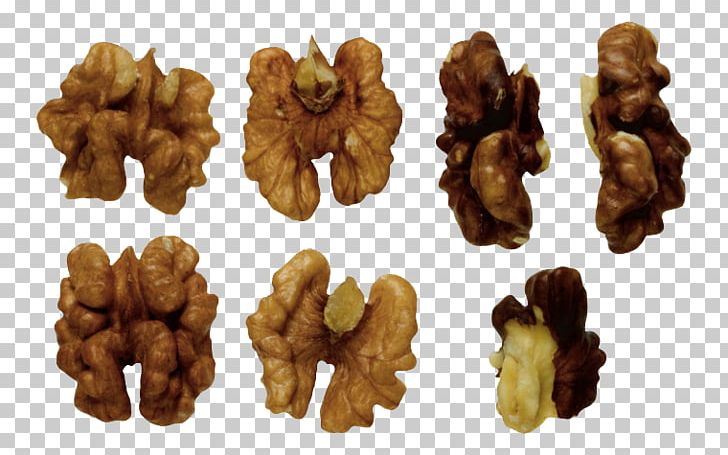 Walnut Hazelnut Food PNG, Clipart, Cashew, Computer Cooling, Dried Fruit, Food, Fruit Nut Free PNG Download