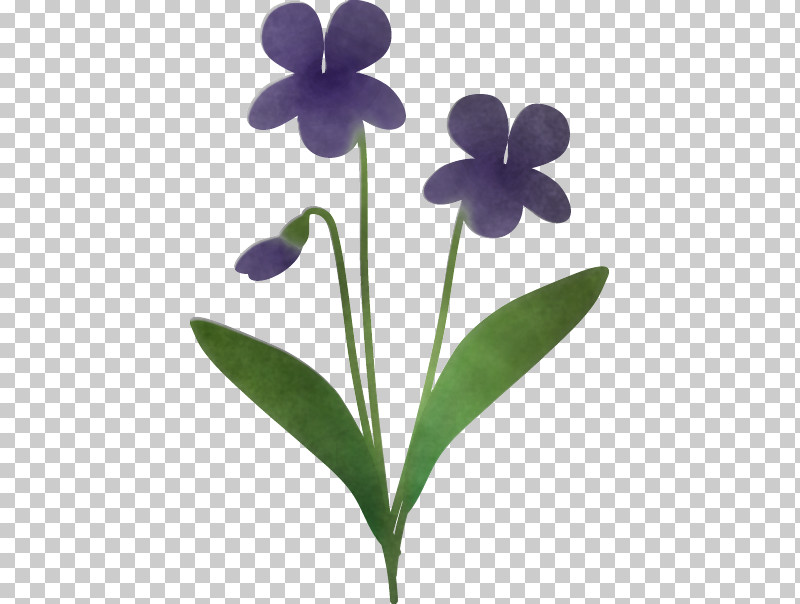 Plant Stem Viola Plants Science Biology PNG, Clipart, Biology, Plants, Plant Stem, Plant Structure, Science Free PNG Download