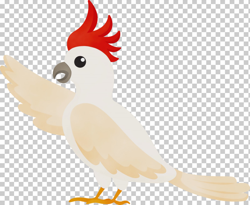 Feather PNG, Clipart, Beak, Bird, Birds, Cartoon Bird, Character Free PNG Download