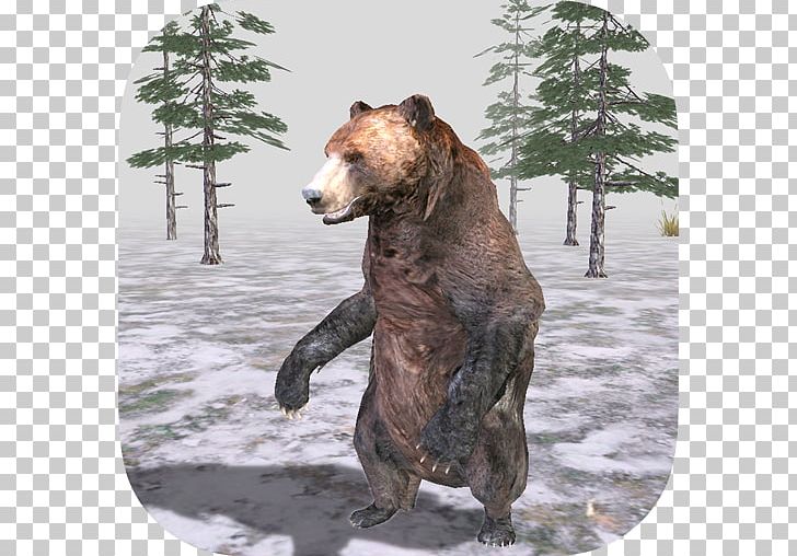 Grizzly Bear Alaska Peninsula Brown Bear Terrestrial Animal Wildlife PNG, Clipart, Alaska Peninsula Brown Bear, Animal, Animals, Bear, Big Bear Free PNG Download