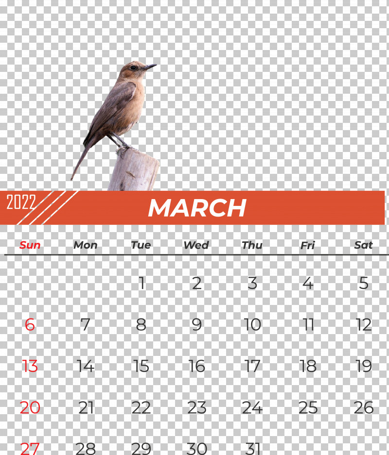 Birds Calendar Beak Font Meter PNG, Clipart, Beak, Biology, Birds, Calendar, Meter Free PNG Download