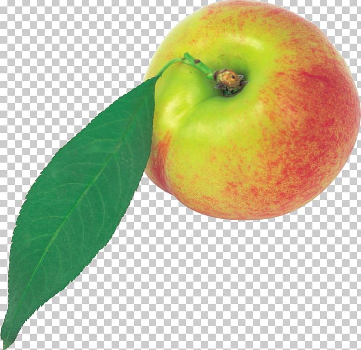 Peach PNG, Clipart, Peach Free PNG Download