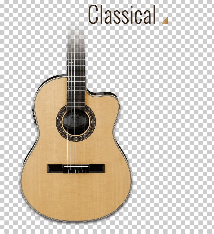 Acoustic Guitar Bass Guitar Tiple Acoustic-electric Guitar Cavaquinho PNG, Clipart, 16 Scale Modeling, Classical Guitar, Cuatro, Guitar Accessory, Ibanez Artwood Vintage Avn9 Free PNG Download