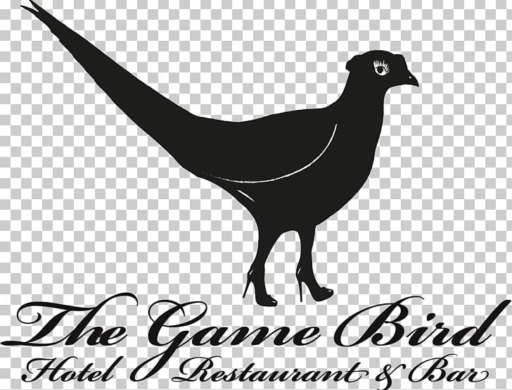 The Trinacria Bed And Breakfast On The Sea Bird History Summer Camp | July PNG, Clipart, Animals, Beak, Bed And Breakfast, Bird, Black And White Free PNG Download