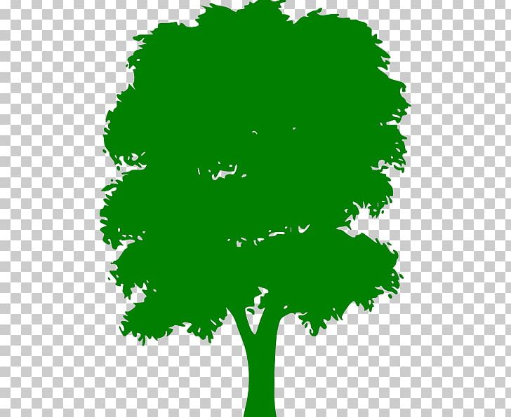 Tree Green PNG, Clipart, Arecaceae, Art, Branch, Drawing, Flora Free PNG Download