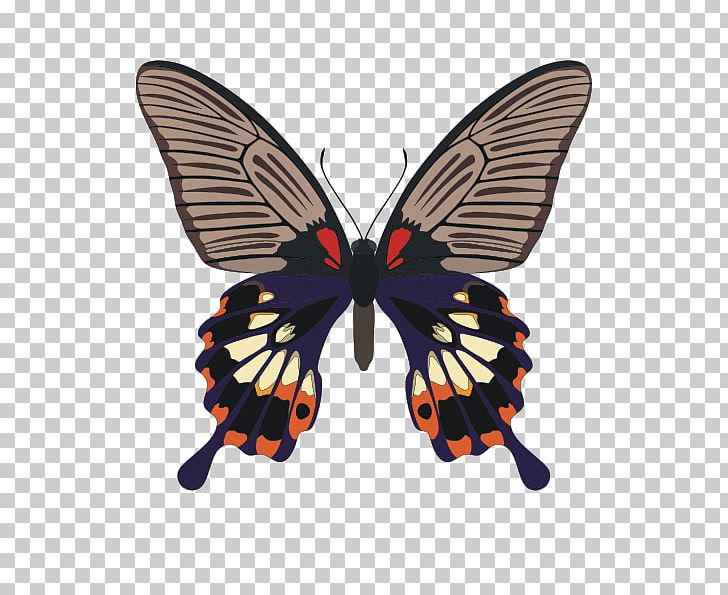 Butterfly Papilio Memnon Papilio Palinurus Insect Scarlet Mormon PNG, Clipart, Arthropod, Brush Footed Butterfly, Butterfly, File, Insect Free PNG Download