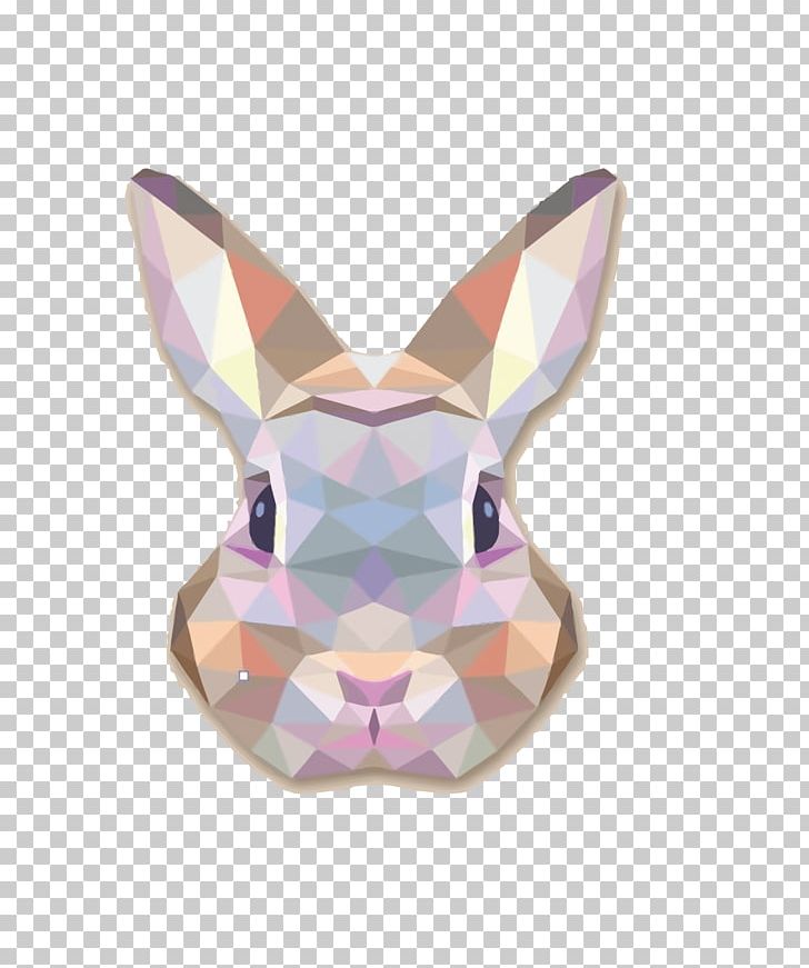 Rabbit Triangle Canvas Geometry Poster PNG, Clipart, Animal, Art, Biology, Cartoon, Design Free PNG Download