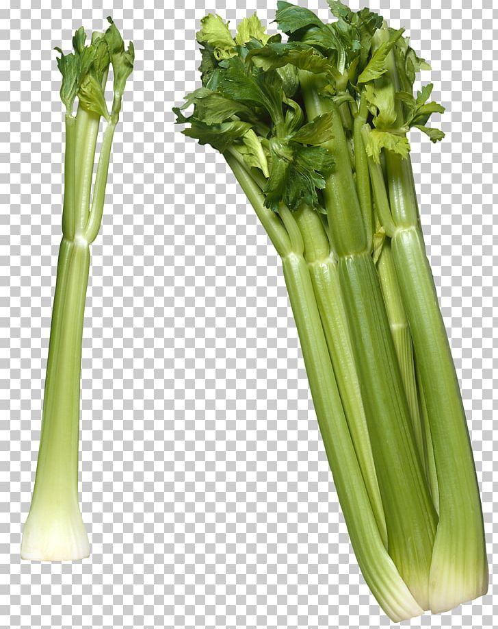 Celery Raw Foodism Vegetable Celeriac PNG, Clipart, Celeriac, Celery, Celery Salt, Clip Art, Delivery Free PNG Download