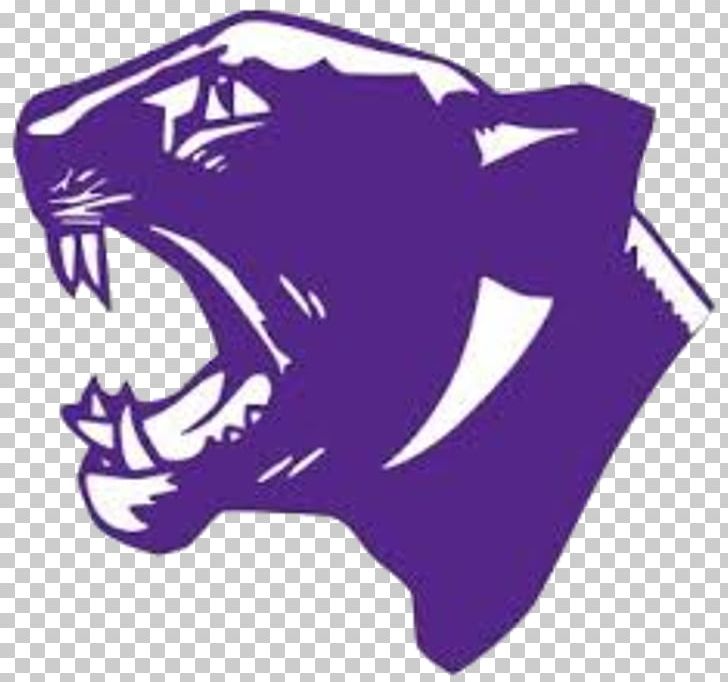 Elder High School St. Xavier High School Bushnell-Prairie City High School National Secondary School PNG, Clipart, Art, Carnivoran, Cincinnati, Education Science, Elder High School Free PNG Download