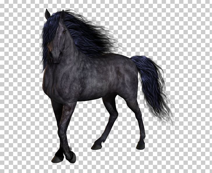 Horse PNG, Clipart, Animals, Bridle, Computer Icons, Digital Image, Fur Free PNG Download