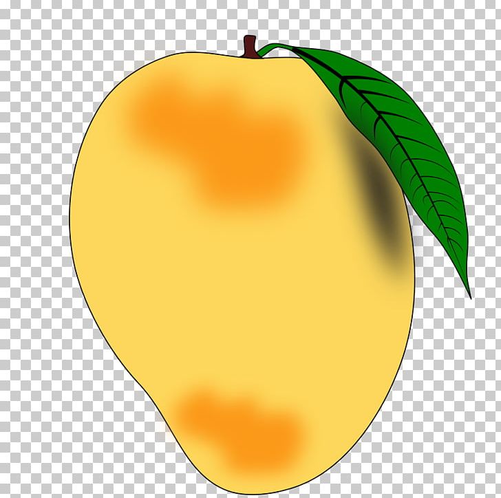 Mango Fruit PNG, Clipart, Apple, Citrus, Computer Icons, Desktop Wallpaper, Flowering Plant Free PNG Download