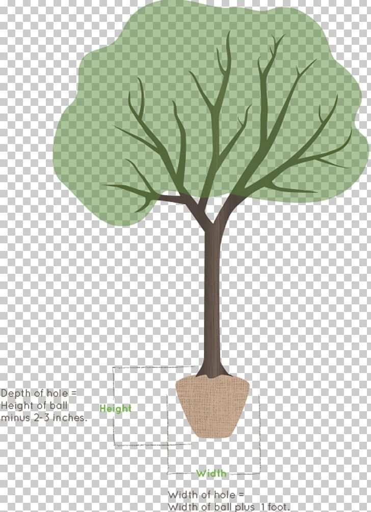 Plant Stem Leaf Flower PNG, Clipart, Art, Branch, Flower, Grass, Leaf Free PNG Download