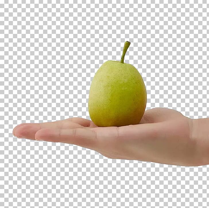 U65b0u7586u5e93u5c14u52d2u9999u68a8u80a1u4efdu516cu53f8 Hand Pear PNG, Clipart, Apple, Auglis, Delicious, Designer, Dessert Free PNG Download