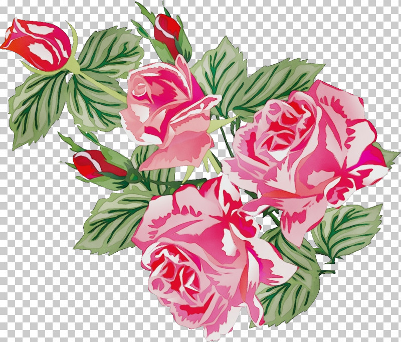 Garden Roses PNG, Clipart, Artificial Flower, Bouquet, Carnation, Cut Flowers, Flower Free PNG Download