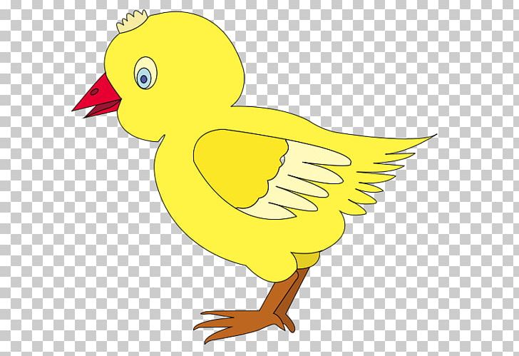 Duck Chicken Open Graphics PNG, Clipart, Animals, Art, Beak, Bird, Bird Egg Free PNG Download