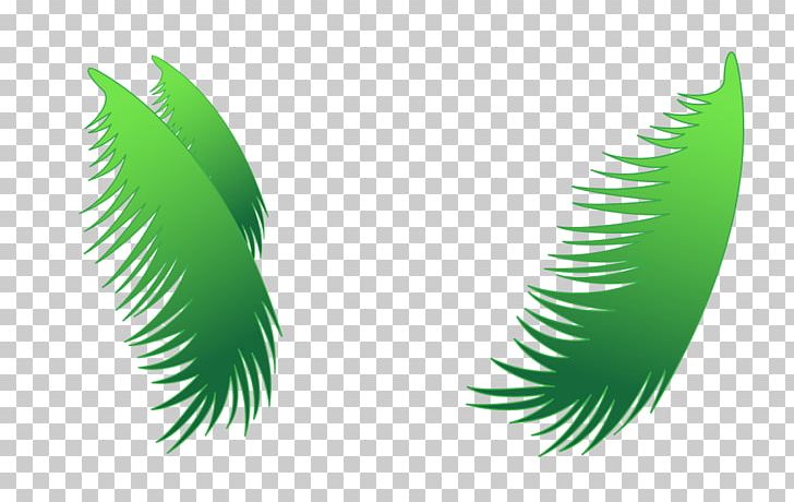 Leaf Coconut PNG, Clipart, Balloon Cartoon, Cartoon Couple, Cartoon Eyes, Cartoon Leaves, Encapsulated Postscript Free PNG Download