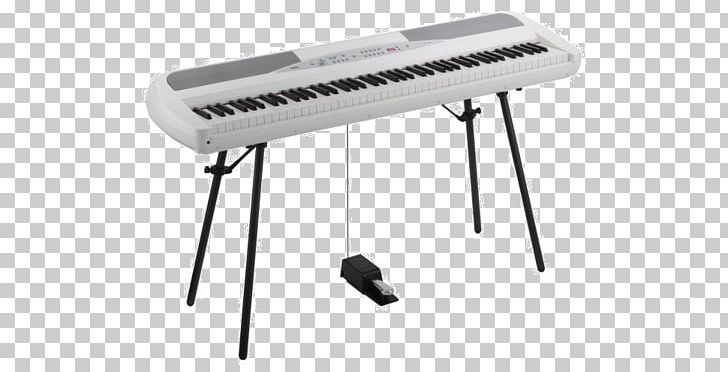 Yamaha P-115 Korg SP-280 Digital Piano Keyboard PNG, Clipart, Action, Angle, Cher, Digital Piano, Electric Piano Free PNG Download