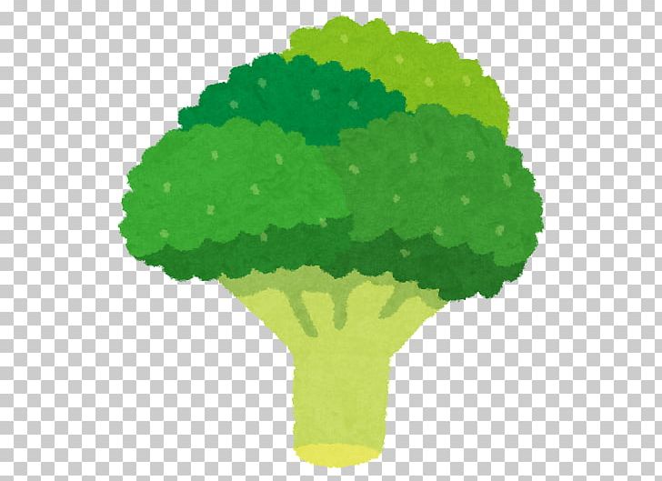 Broccoli Sulforaphane Cauliflower Vegetable Food PNG, Clipart, Broccoli, Cauliflower, Cooking, Food, Fruit Free PNG Download