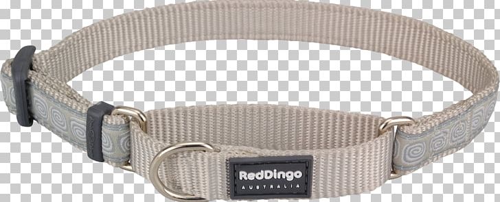Dingo Dog Collar Martingale PNG, Clipart, Animals, Beige, Belt, Belt Buckle, Blue Free PNG Download