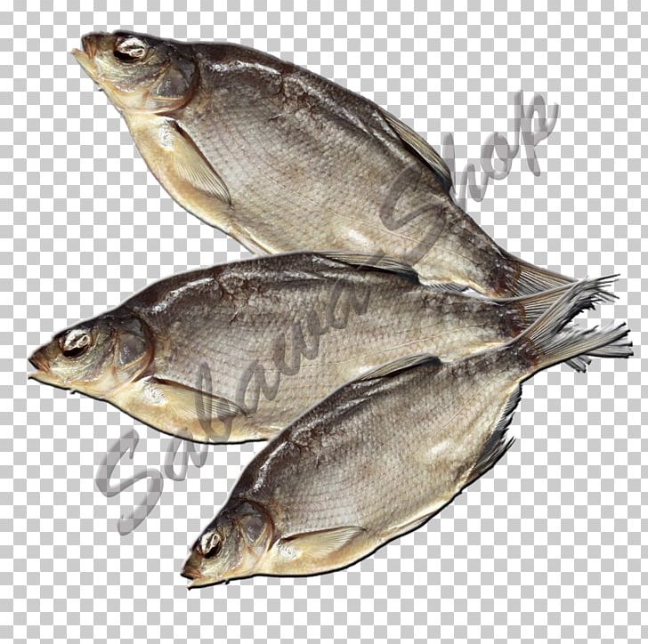 Kipper Oily Fish Sardine Salted Fish Fish Products PNG, Clipart, Anchovy, Animal Source Foods, Capelin, Fauna, Fish Free PNG Download