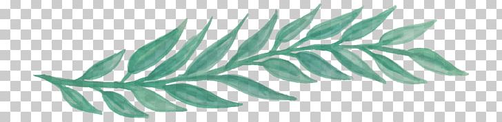 Leaf Watercolor Painting Job LinkedIn PNG, Clipart, Color, Flower, Green, Grey, Job Free PNG Download