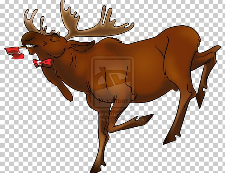 Reindeer Moose Cattle Mammal Antler PNG, Clipart, Animal, Antler, Canada, Cartoon, Cattle Free PNG Download