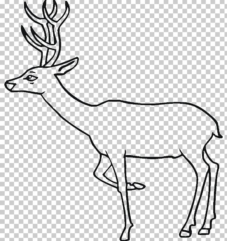 Elk Deer Train Coloring Book PNG, Clipart, Animal Figure, Antelope, Antler, Black And White, Book Free PNG Download