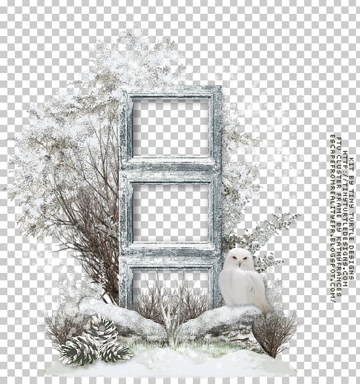 Frames Window PNG, Clipart, Branch, Digital Photo Frame, Furniture, Gift, Home Free PNG Download