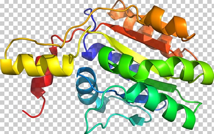 Line Point PNG, Clipart, Acetolactate Synthase, Art, Artwork, Line, Organism Free PNG Download