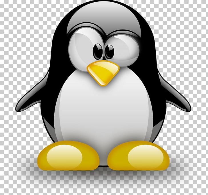 Linux Computer Software Minecraft Computer Servers Android PNG, Clipart, Android, Beak, Bird, Cloud Gaming, Computer Servers Free PNG Download