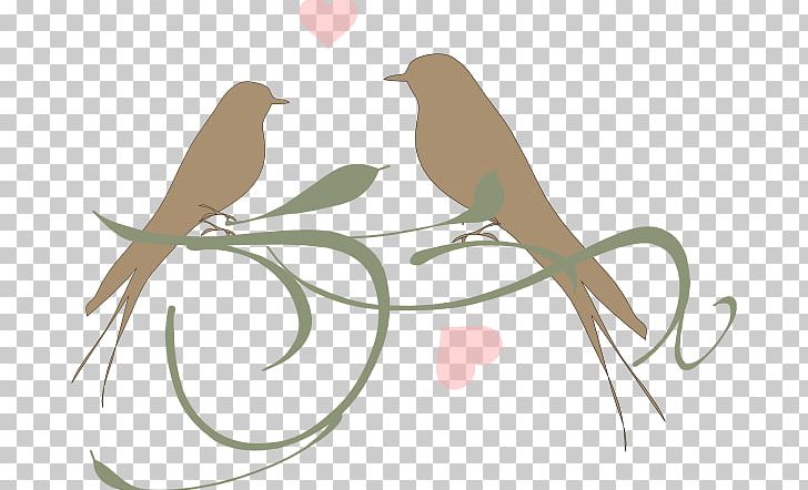 Lovebird Owl PNG, Clipart, Art, Artwork, Beak, Bird, Birds Free PNG Download