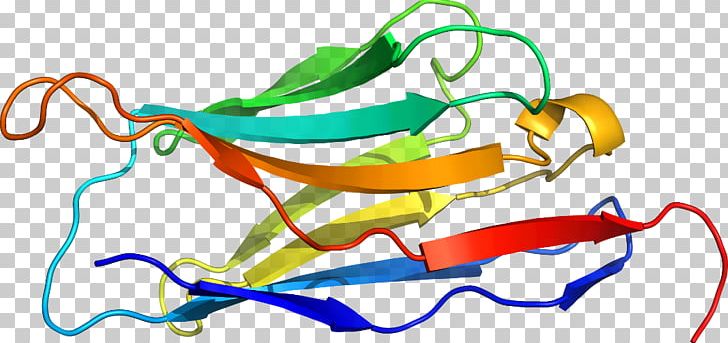 Line Organism PNG, Clipart, Area, Art, Artwork, Bloom Syndrome, Line Free PNG Download