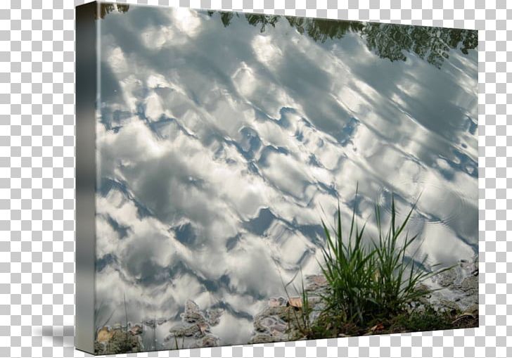 Stock Photography Frames Sky Plc PNG, Clipart, Cloud, Grass, Landscape, Others, Photography Free PNG Download
