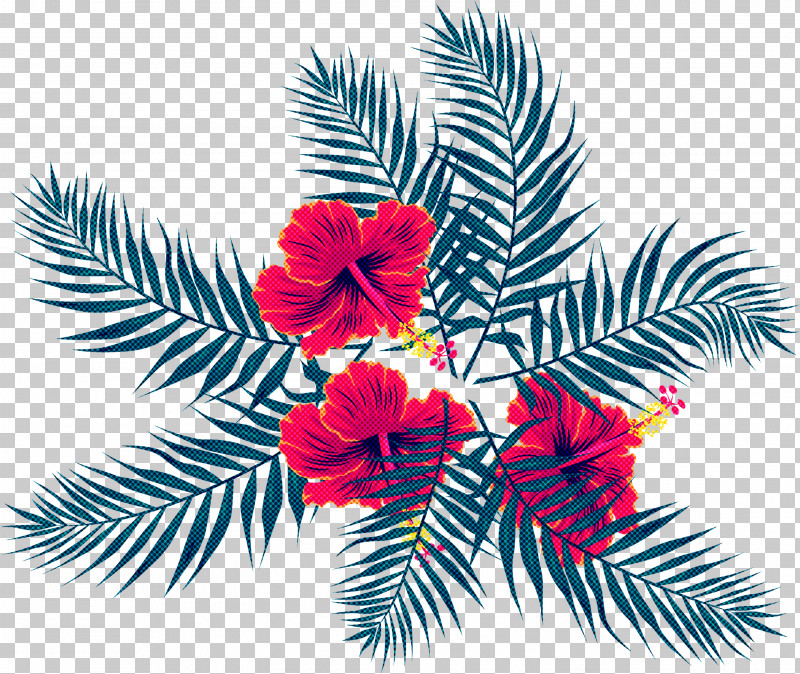 Palm Tree PNG, Clipart, Arecales, Branch, Christmas Tree, Colorado Spruce, Conifer Free PNG Download
