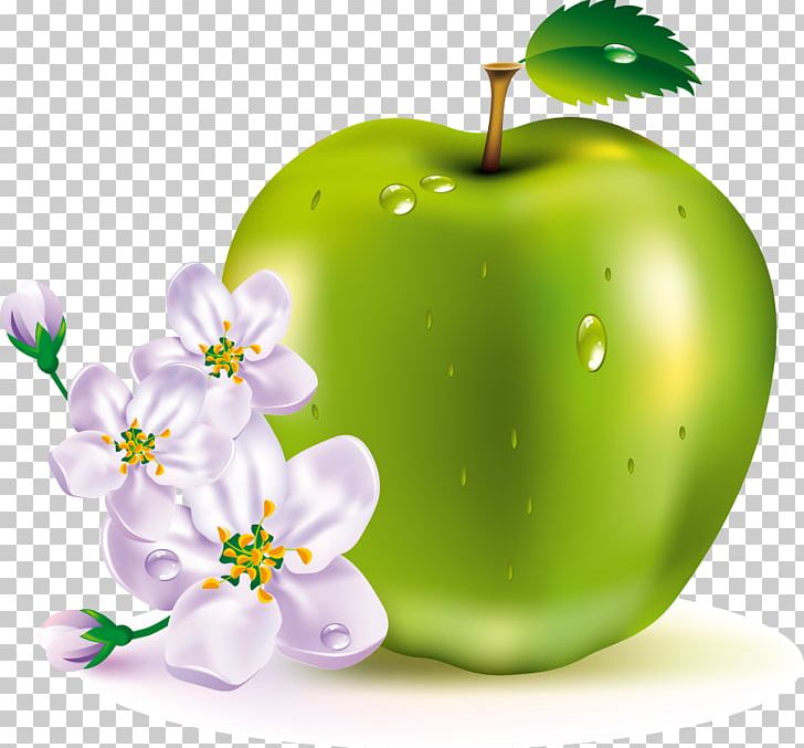 Apple Fruit PNG, Clipart, Apple, Computer Icons, Computer Wallpaper, Food, Fruit Free PNG Download