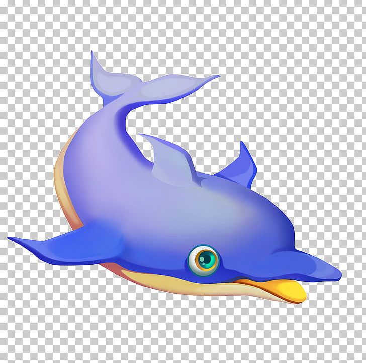 Common Bottlenose Dolphin Tucuxi Cartoon Photography PNG, Clipart, Animals, Blue, Caricature, Cartoon, Cetacea Free PNG Download