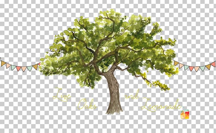 Tree Trunk Watercolor Painting Northern Red Oak PNG, Clipart, After You, Art, Botany, Branch, Cake Free PNG Download