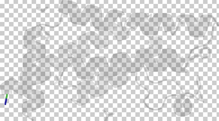 White Line PNG, Clipart, Angle, Art, Black And White, Line, Petal Free PNG Download