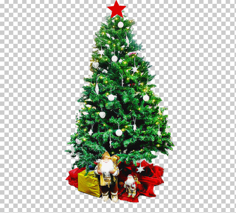 Christmas Tree PNG, Clipart, Christmas, Christmas Decoration, Christmas Ornament, Christmas Tree, Colorado Spruce Free PNG Download